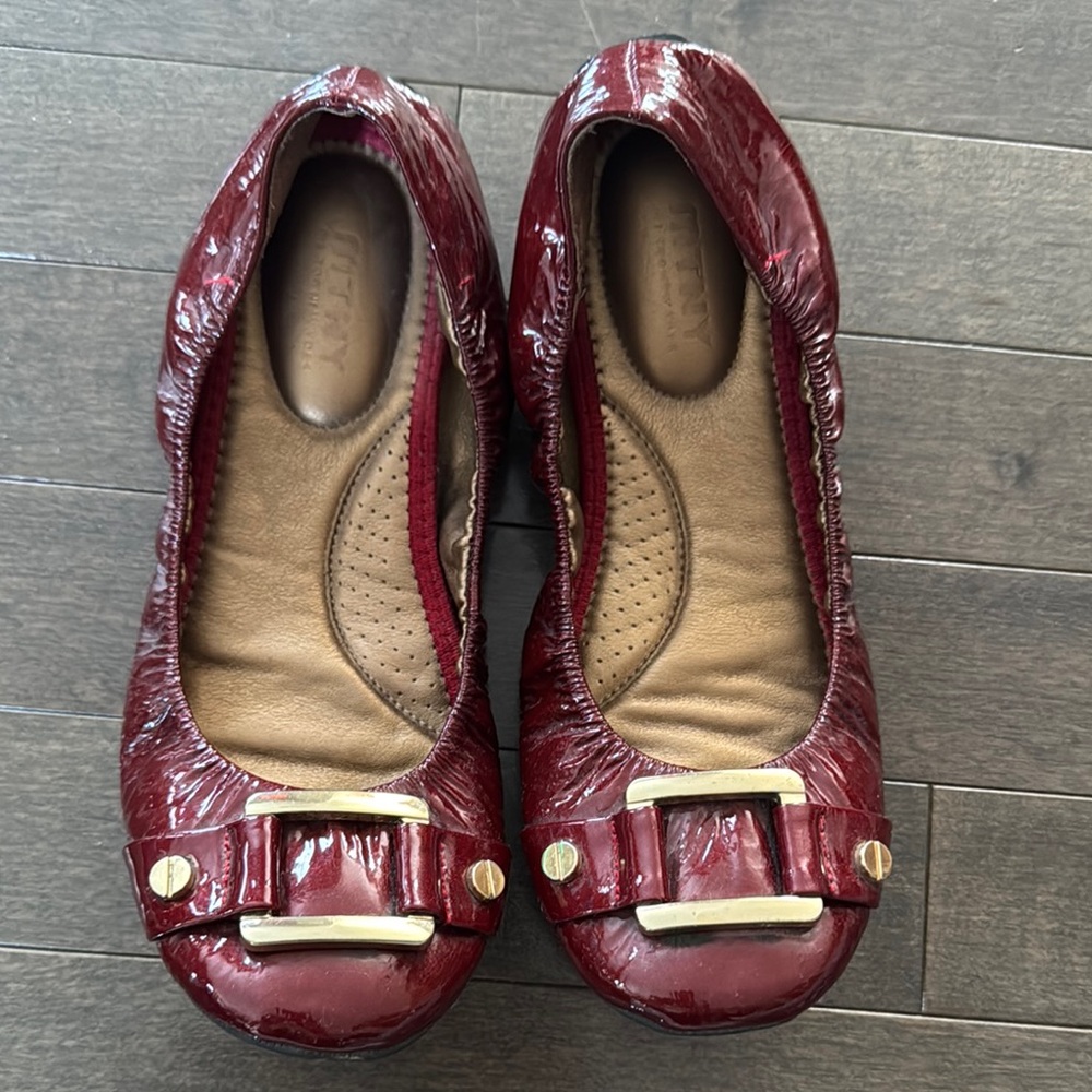 Elegant Burgundy Flats